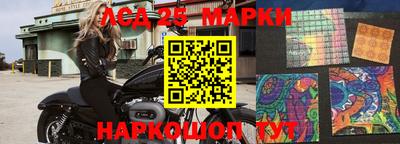 a pvp Свободный