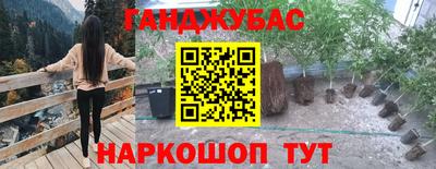 a pvp Свободный