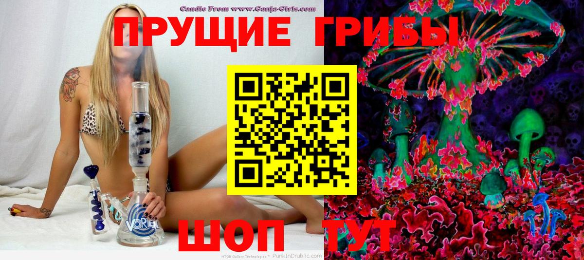 Псилоцибиновые грибы Psilocybine cubensis Осинники