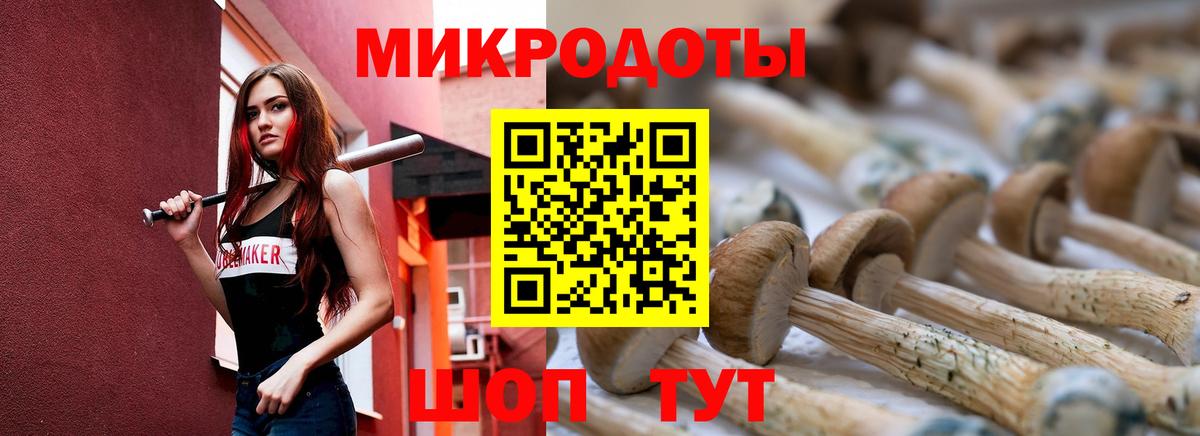 Осинники  Псилоцибиновые грибы Cubensis  где продают наркотики  Вход с VPN  Галлюциногенные грибы мухоморы 