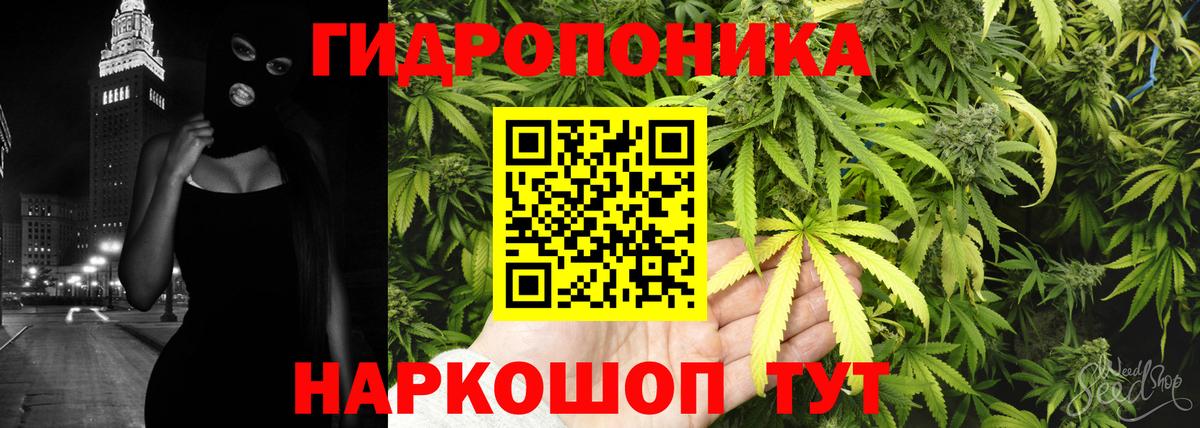 Бошки марихуана индика  Вход с VPN  Осинники  Конопля OG Kush  Канабис семена 